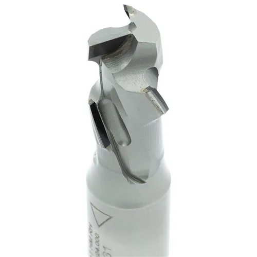 IGM Diamantová fréza Ekonomik Z1+1 - D20x35 L95 S=20x50 (4DP)