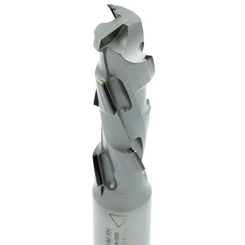 IGM Diamantová fréza Ekonomik Z1+1 - D20x65 L125 S=20x50 (7DP)