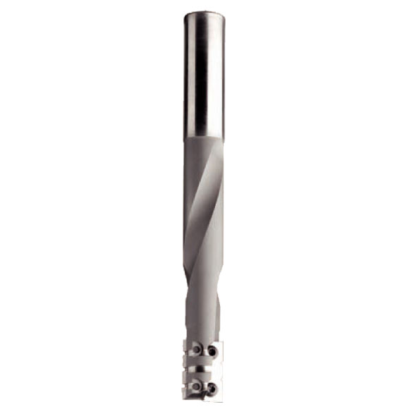 IGM Dlabacia fréza na dvere žiletková D16x23 L150mm S=16 Z2  HW F464-16011